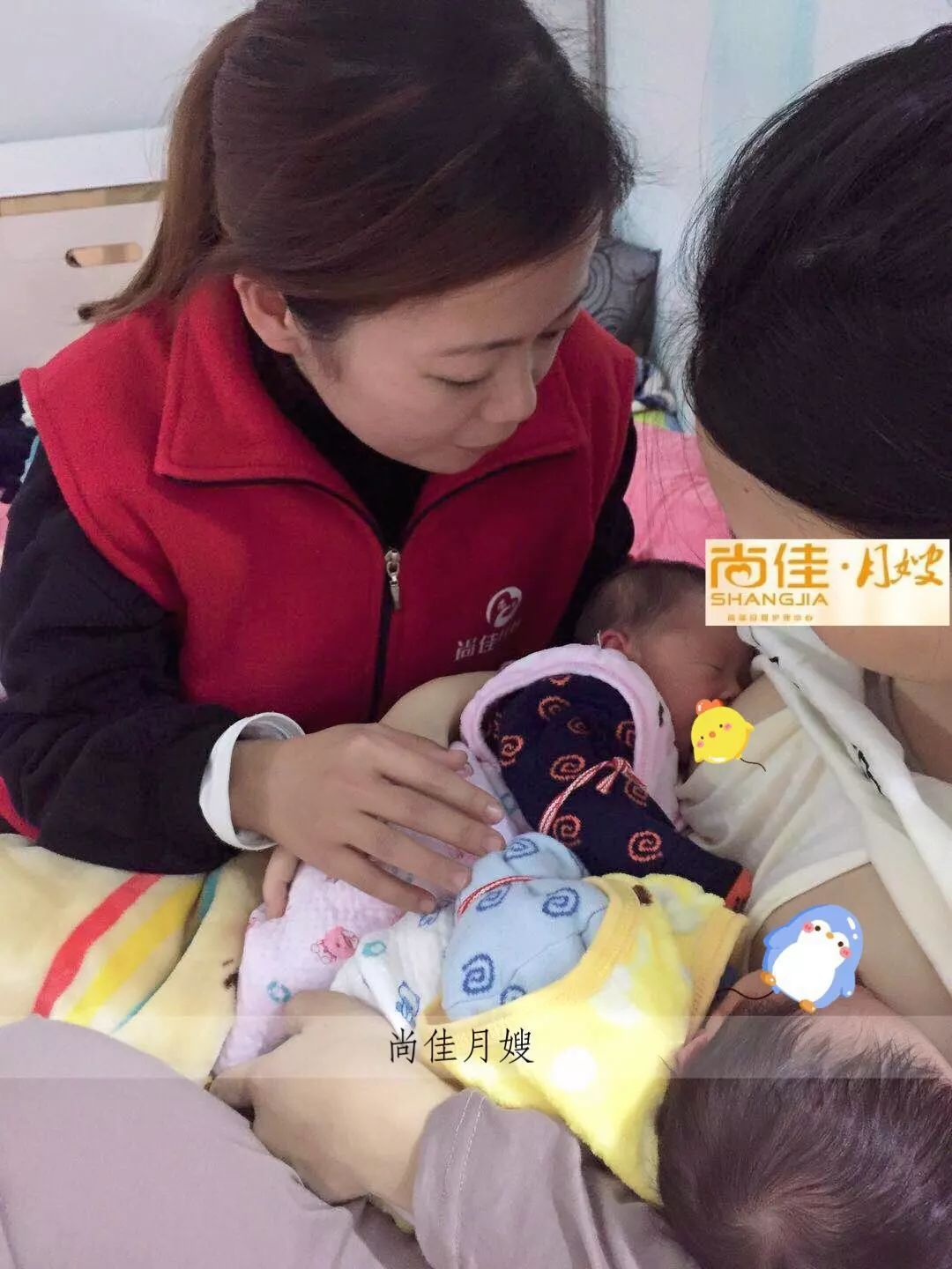 尚佳專業(yè)月嫂丨初生嬰兒需要吃多少？